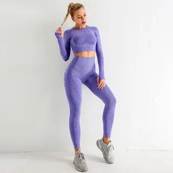 Femei Sport Yoga Set trening Trening cu Maneca Lunga Top de Cultură de Talie Mare fără Sudură Jambiere pentru Fitness Costum de Sport