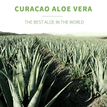 HEMEIEL Naturale Curacao Gel de Aloe Vera Hidratantă de Albire Crema de Fata Îndepărtarea Cicatrice Acnee de Îngrijire a Pielii Esență Gel de Aloe Sunscreen