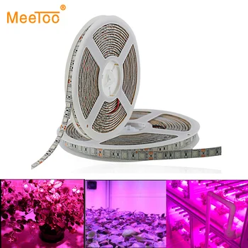 5m LED-uri Cresc Lumini 5050 LED Strip bandă DC12V Roșu Albastru 3:1 4:1 5:1 60leds/m pentru semințe de Flori de interior cu efect de Seră Hidroponică a Plantelor