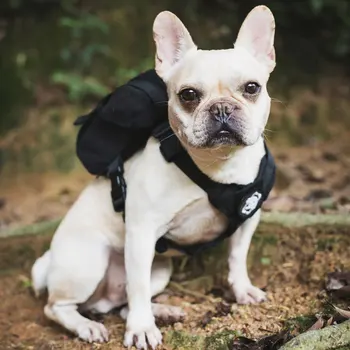 OneTigris EUREKA K9 Rucsac Mic Câine Trata Tote Pack + Gunoi Sac de Ieșire pentru Caine de talie Mica de Călătorie Camping