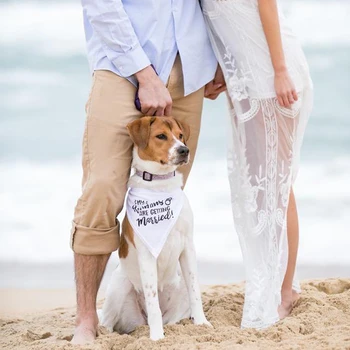Oamenii mei sunt Căsătoriți de Câine Bandană animale de Companie Eșarfă Nunta Anunț de Logodnă, cabină de duș de mireasă decor sedinta Foto cadou