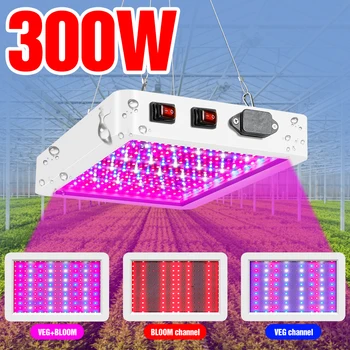 Full Spectrum LED-uri Cresc de Lumină 300W 500W cu LED Fito Lampa 220V LED Lumini de Plante cu efect de Seră Pentru Plante Cresc Cort Fitolampy UE Plug