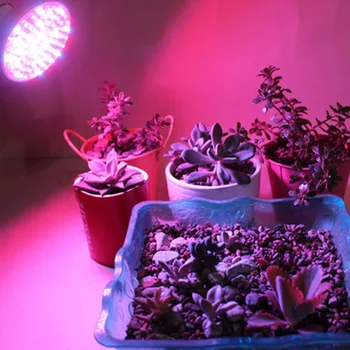 Led-uri Cresc de Lumină întregul Spectru Spectru Complet 28SMD Albastru Rosu Alb LED-uri Cresc de Lumină Lampă Cupa pentru Plante cu Flori