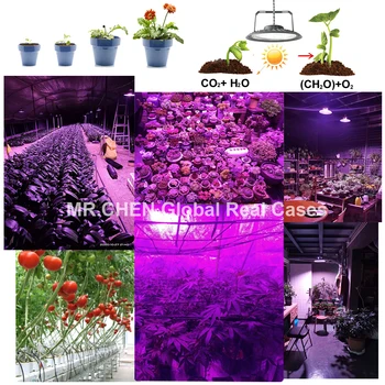 Impermeabil Led-uri Cresc de Lumină UV Spectru Complet de Creștere a Plantelor creștere a Răsadului de Flori cu efect de Seră Cort Suculente Legume Fructe