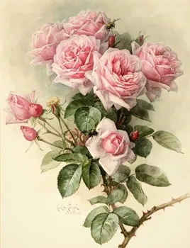Romantic Pink Rose flori pictura Arta, lucru Manual 14CT Panza Neimprimate Broderii lucrate Manual Cross Stitch Kit DIY Home Decor