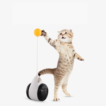 Pahar Leagăn Jucării pentru Pisici Pisoi Interactive Masina Echilibru Pisica Urmarind Jucarie cu iarba matei Amuzant Produse pentru animale de Companie Non-electric
