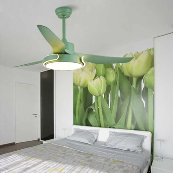Nordic frecvență variabilă ventilator de tavan lampa cu telecomanda minimalist de uz casnic pandantiv fan lumină pentru dormitor