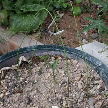 6 Buc cu efect de Seră Cercuri de Plante Hoop Crească Grădină Tunel Cerc de Sprijin Cercuri de Plante Titularul Unelte pentru Gradina Miza Ferma, Agricultura