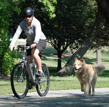 Câinele Biciclete Lesa Elastica Biciclete Centura De Tracțiune Coarda Lesa Câine Bicicleta Atașament Detașabil Câine Lesa De Pietoni Câine Animal De Casă Supplies