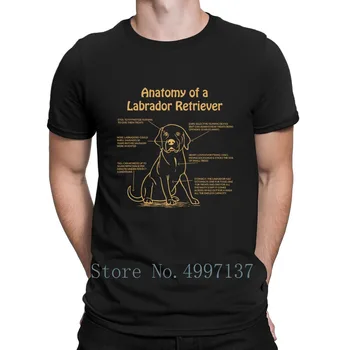 Anatomia Unui Labrador Retriever Laborator Proprietar Grafic T Shirt Modele De Bază Maneci Scurte Stil De Vara S-Xxxl Drăguț Model De Tricou