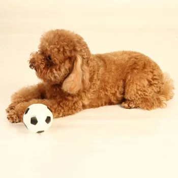 3pcs/lot Solid, Viguros Mingea Câine Jucării Interactive Jucării Musca Rezistente animale de Companie Minge de Cauciuc Jucărie de ros