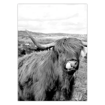Highland Bovine Bovine Vacă Postere si Printuri Alb Negru Panza Pictura Arta de Perete de Perete Decor Imagine pentru Camera de zi de Decorare