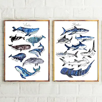 Desene Animate Balena Albastra Coadă De Pește Fin Busola Arta De Perete Panza Pictura Nordică Postere Si Printuri Poze De Perete Pentru Camera Copii Decor