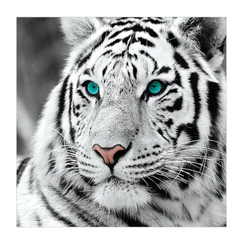 5D DIY Diamant Tabloul Complet Square White Tiger Cross Stitch Diamant Broderie Animal Imagine Mozaic de Pietre Decor Cadou