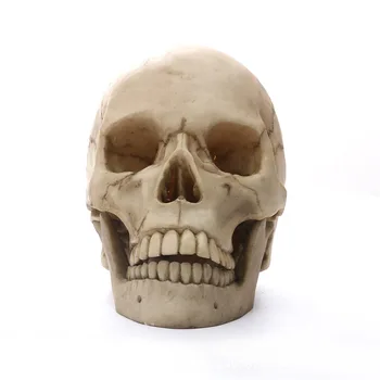 HeyMamba Lifesize Rășină Craniu Statuie Cu Cap De Om Sculptura Replica Medicale Craniu Model Home Decor De Halloween Ambarcațiuni