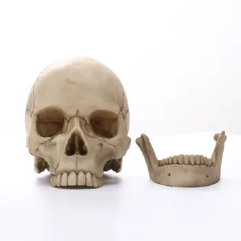 HeyMamba Lifesize Rășină Craniu Statuie Cu Cap De Om Sculptura Replica Medicale Craniu Model Home Decor De Halloween Ambarcațiuni