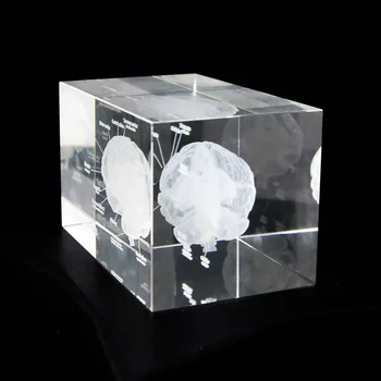 Uman 3D Anatomice Model Prespapier Gravat cu Laser Creierul Cristal Cub de Sticlă Anatomie Mintea Neurologie Gândire Știința Medicală Cadou
