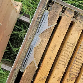 18 Pack Clar Reutilizabile Gândacul Mic de Stup Capcane de Ulei,Ecologic si Prietenos și în condiții de Siguranță pentru Albine,Apicultura Consumabile