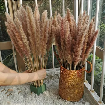 15buc 60cm Naturale Pampas Flori INS Stil Flori Uscate Balcon Cameră de zi Boho Decor Moderne de Plante Decor de Nunta