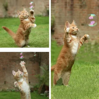 17.7 ml de Companie Pisica Naturale Catnip Bule Jucarii Pisici Jucarii Interactive Bouncy Bule Catnip Bule de Jucării Pentru Pisici