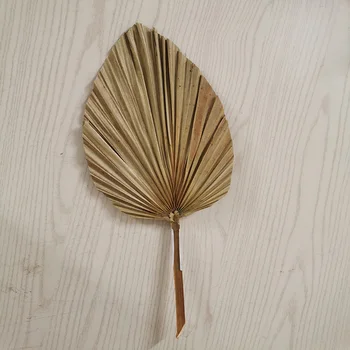 1 BUC Palma Fan, Frunze Uscate Frunzele Plantelor Fereastra de Recepție Petrecere Art Agățat de Perete Decor Nunta Arc Aranjament