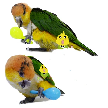 Lhxmas Pasăre Jucărie Pasăre Jucarii Set de jucarii Papagal macaw nisip picior jucarii 3 buc set