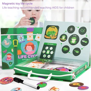 Magnetic Montessori Puzzle Sprijinindu-Se Ciclul De Viață Al Animalului Uman De Creștere Puzzle Jucărie De Învățământ Învăța Un Cuvânt Nou