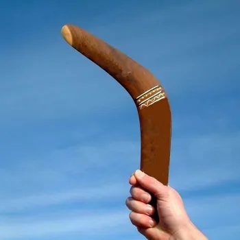 Noi Cangur Intoarcere V În Formă De Bumerang Flying Disc Arunca Prinde Joc În Aer Liber
