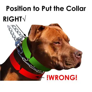 Câinele Dinte de Formare Guler, din Metal Sufoca vârf de cuțit de Câine Guler cu Confort Sfaturi