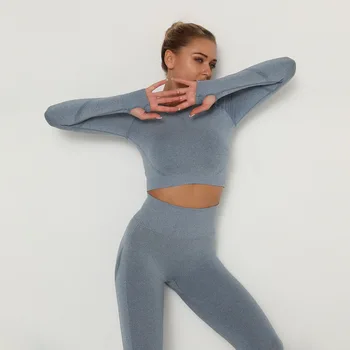 De Înaltă Talie Jambiere Push-Up Sutien Fără Sudură De Gimnastică A Stabilit Femei Fitness Yoga Set Mâneci Lungi Tricou Crop Top Antrenament Jambiere