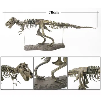 4D Tyrannosaurus Rex Excavare Kit de Știință Sape Dinozaur și de a Asambla un 4D Schelet Vechi de Animale Fosile Craniu