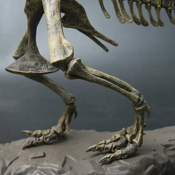 4D Tyrannosaurus Rex Excavare Kit de Știință Sape Dinozaur și de a Asambla un 4D Schelet Vechi de Animale Fosile Craniu