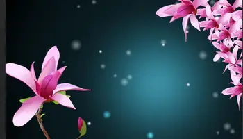 Transport gratuit 3D flori roz Calculator Desktop Autocolante Creatoare de Moda Autocolante rezistent la apa si Praf Dovada Tapet Mural