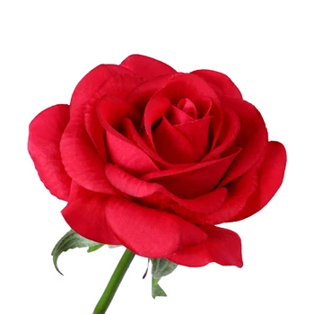 De înaltă Calitate Capac de Sticlă Trandafir Rosu Floare Șir LED Lumina Bază de Lemn pentru Romantic Ziua Îndrăgostiților Cadou de Ziua Alimentat de la Baterie