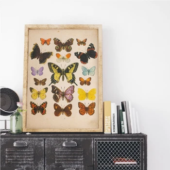 Insecte Antic Ilustrare Panza Pictura Fluturi Epocă Postere si Printuri de Arta de Perete pentru Camera de zi Decor Acasă Cuadros