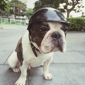 Reglabil Câine Palarie pentru Soare Protectie Ploaie animale de Companie Amuzant Rece de Motociclete Biciclete Casca Pălărie de Protecție Motor Casca