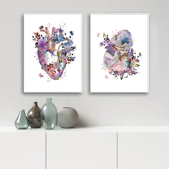 Flori Colorate De Anatomie A Corpului Uman Panza Pictura Creier, Inima De Organe De Educație Medicală Poster Imprimare Abstract Arta De Perete Poza