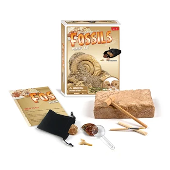 Simulare sapaturi arheologice jucarii copii cadou de ziua educația timpurie puzzle săpat shell model de ipsos fosili