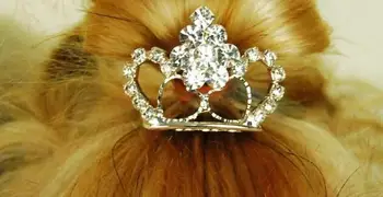 Câine Îngrijirea Prințesă Minunat Stras Coroana Clip Câine de Companie de Păr Decor Elegant Ac de păr 20buc/lot