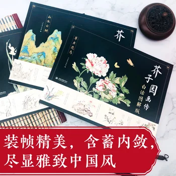 Tradițională chineză pictura carte de artă Semințe de Muștar de Grădină Pictura Biografie (Trei Volume Autohton Ediție Ilustrată)
