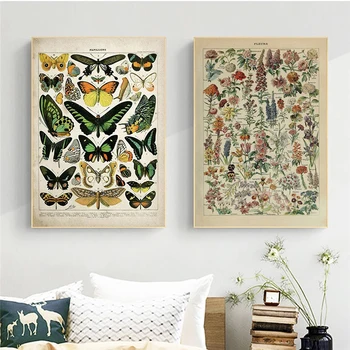 Vintage Adolphe Millot Enciclopedia Postere, Printuri De Flori Fluture Insecte Tablouri Canvas Wall Art Poza Decor Acasă Cuadros