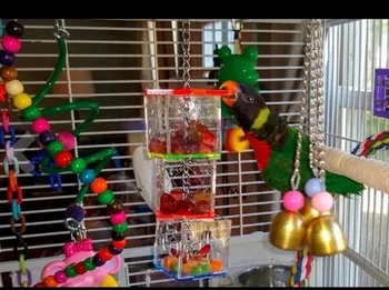 Transparent 3 Straturi Papagali Alimentare Alimentator Agățat Papagal Roase Jucării Alimentator Animale de companie Păsări Culegător de Hrănire Cutii de Păsări de Colivie ZM923