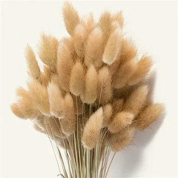 100 BUC Naturale, Uscate, Lagurus Ovatus Buchete, Iepurele Coada Iarbă,50cm Lungime pentru Decor Floral