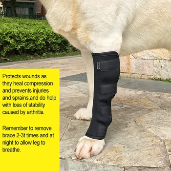 Câine Canin din Spate, Picior, Genunchi Proteză de gambă Folie pentru Vindecă și Previne Leziuni și Entorse Ajută cu Pierderea de Stabilitate (S-XL)