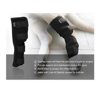Câine Canin din Spate, Picior, Genunchi Proteză de gambă Folie pentru Vindecă și Previne Leziuni și Entorse Ajută cu Pierderea de Stabilitate (S-XL)