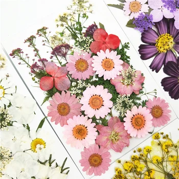 15-21pcs 1 Sac de mici Flori Uscate Flori Presate DIY Conserve de Flori Decor Acasă Mini flori
