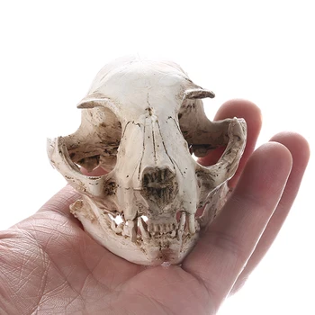 Cat Realist Craniu Rășină Replica De Predare Schelet Model Ornament Acvariu