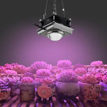 Spectru complet de COB de Creștere a Plantelor Lumina Spectru Complet cu efect de Seră Legume Suculente Răsad de Flori Cresc de Lumină LED Grădină Supplie