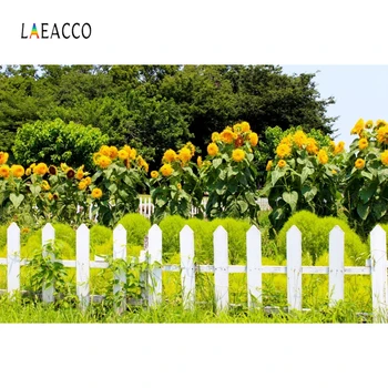 Laeacco Primăvară Curte, Gard De Gradina Floarea-Soarelui, Câmp De Flori Fundal Fotografie Medii Fotografice Fundal Pentru Studio Foto