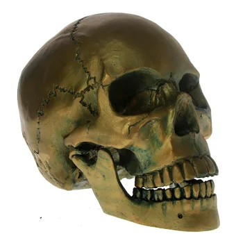 1:1 Viața Dimensiunea De Bronz Cap De Craniu Cu Falca Mobilă De Epocă Schelet Sculptura Cap De Groază Halloween Decoraiton Sperie Cifrele Cadou